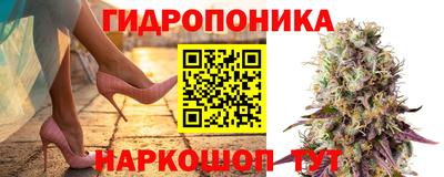ГАЛЛЮЦИНОГЕННЫЕ ГРИБЫ Бузулук