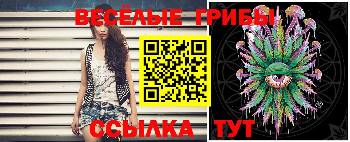 Галлюциногенные грибы прущие грибы Мурино