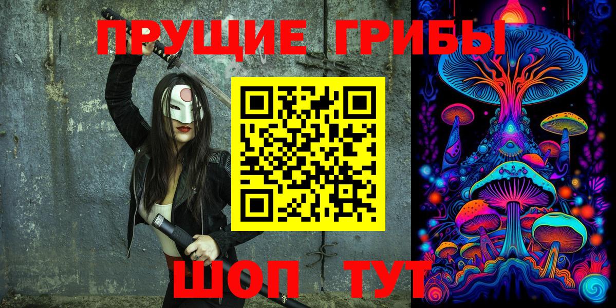 Мурино  цена   Вход с VPN  Галлюциногенные грибы Psilocybe 